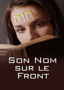 thumbnail (Thumbnail)