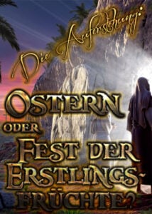 thumbnail (Thumbnail)