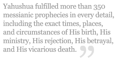 The Living Bible image