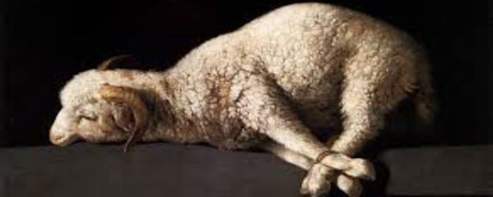 https://media.worldslastchance.com/images/2023/11/02/41329/Animal-Sacrifice.jpg