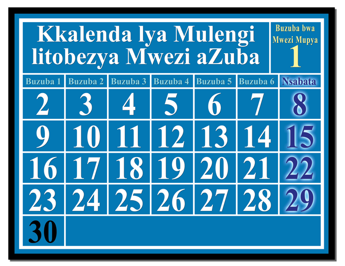 Lunar Solar Calendar