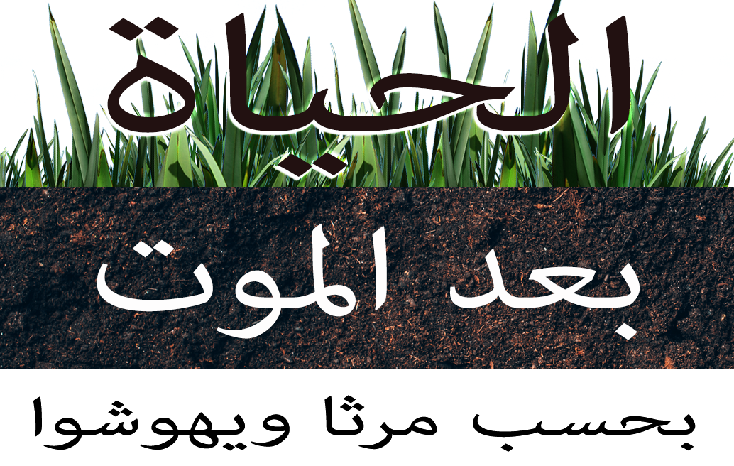 الحياة بعد الموت - بحسب مرثا ويهوشوا