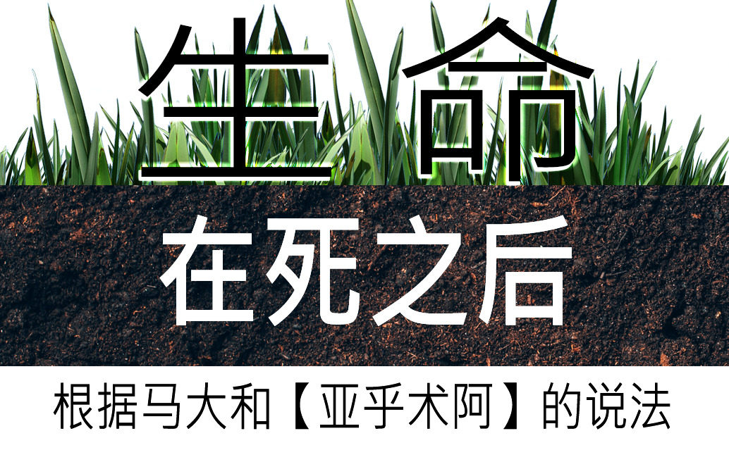 死后的生命——根据马大和【亚乎术阿】的说法