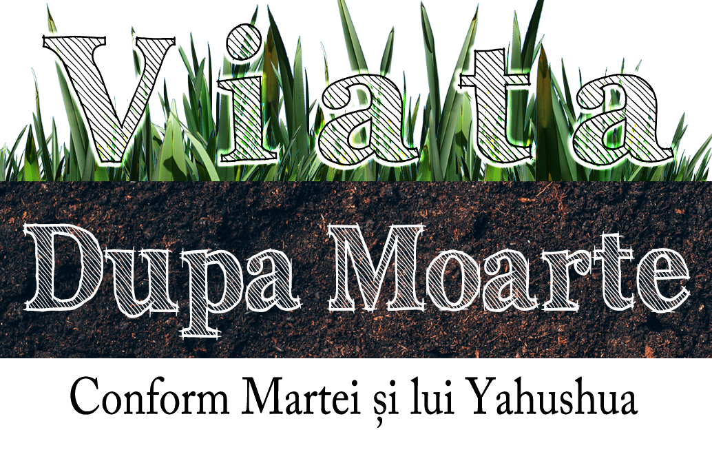 Viața După Moarte—Conform Martei și lui Yahushua