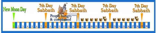 Please explain how the first manna week was in harmony with the lunar Sabbath? image