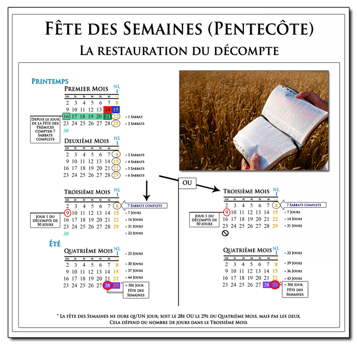 Chart showing the count to Pentecost: 7 Lunar Sabbaths + 50 Days, Counting from Wave Sheaf