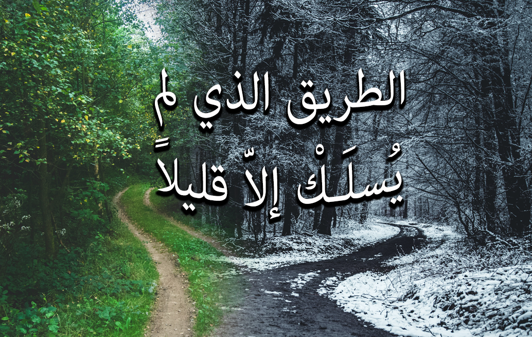 الطريق الذي لم يُسلَـكْ إلاّ قليلاً image