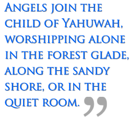 The Sabbath | Part 4 – Solitary Worship image