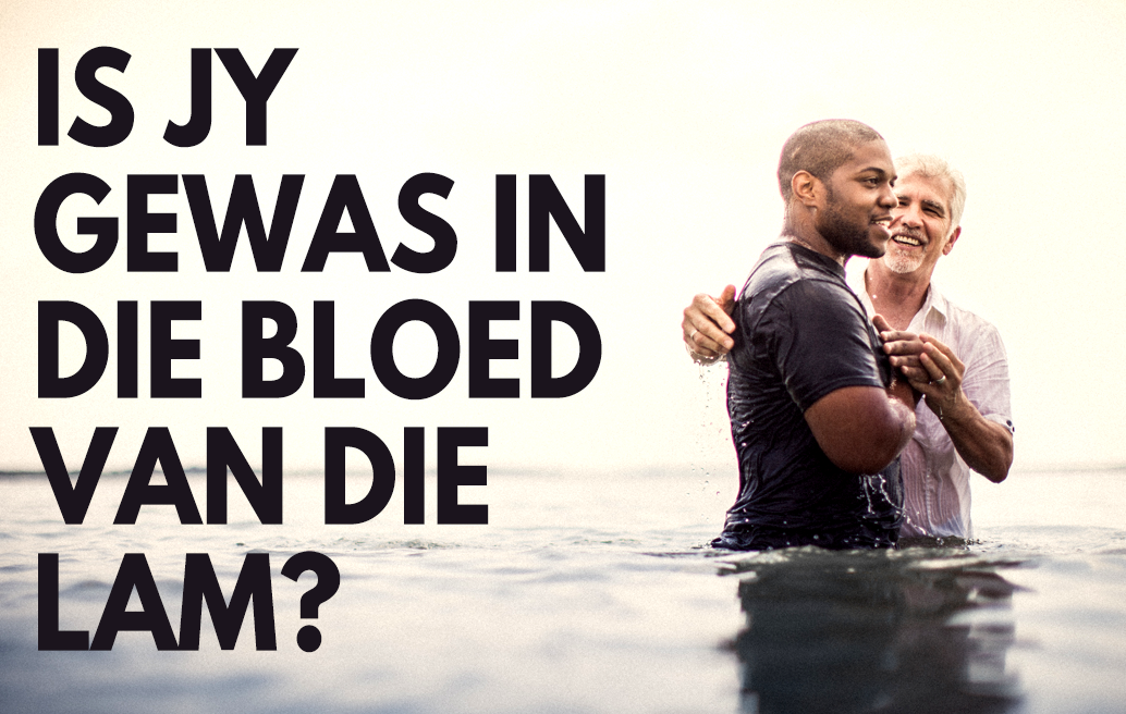 Is Jy Gewas in die Bloed van die Lam?