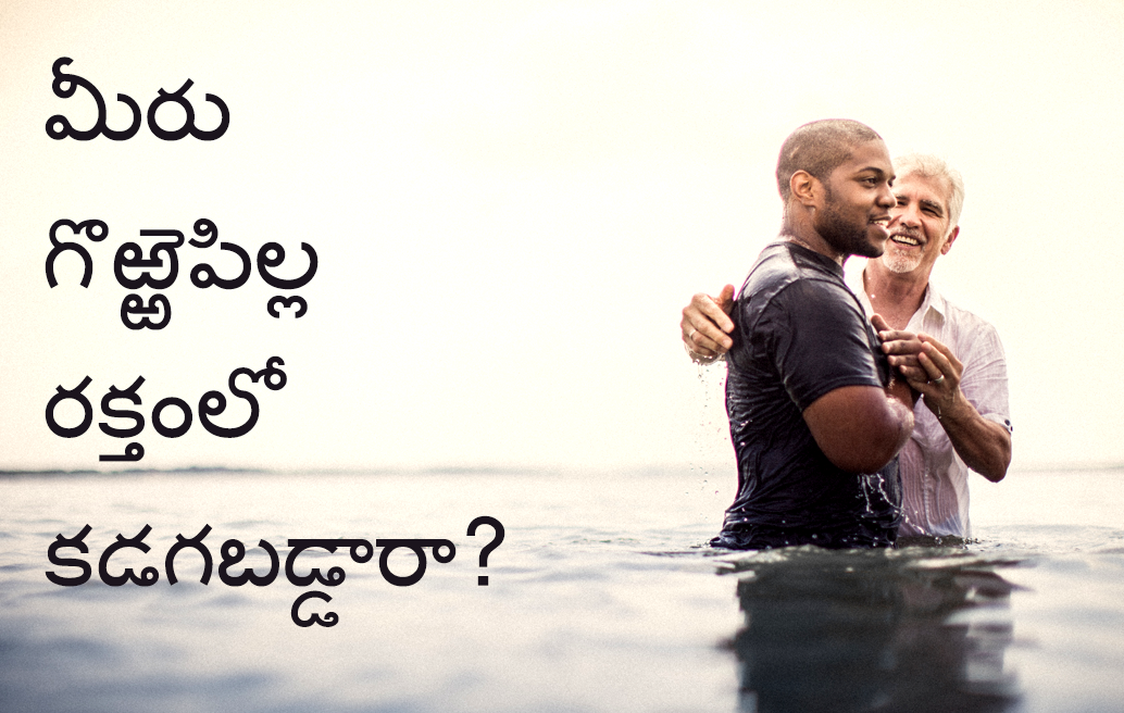 మీరు గొఱ్ఱెపిల్ల రక్తంలో కడగబడ్డారా?