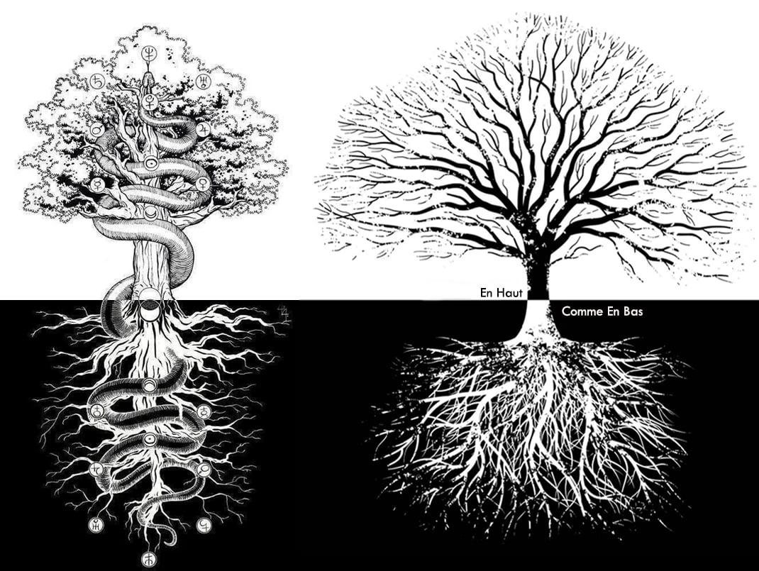 arbre de la connaissance du bien et du mal, ce qui est en bas, est comme ce qui est en haut