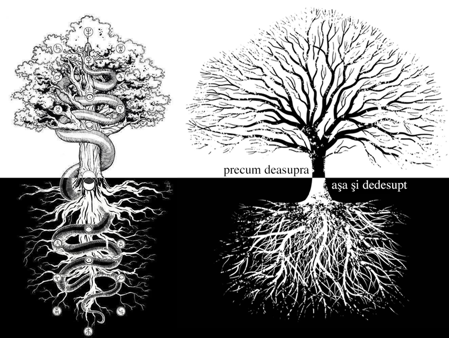 precum deasupra, aşa şi dedesupt