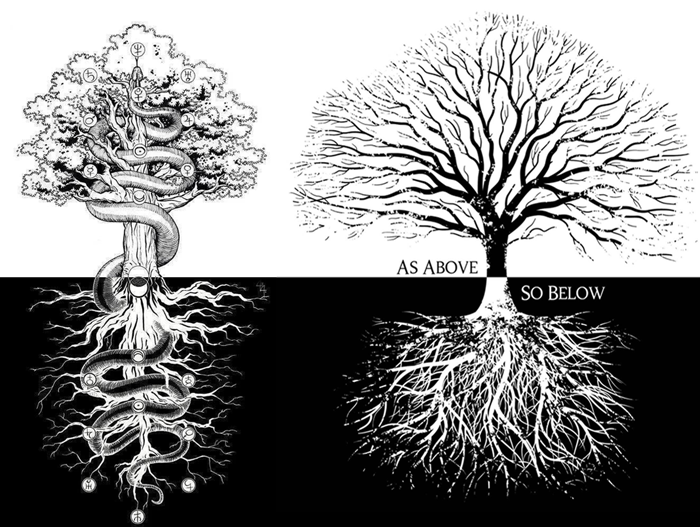 as above so below trees