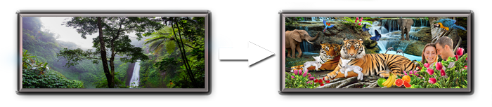 Day 3 and Day 6 of Creation