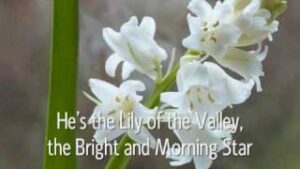 The Lily of the Valley (Thumbnail)