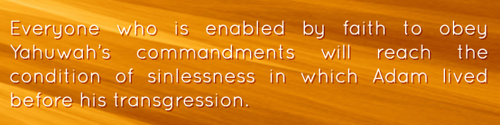 The Secret of Overcoming: Possessing the Faith of Yahushua image