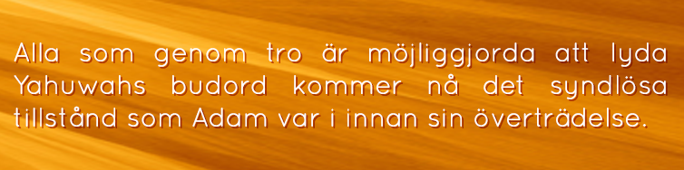 Hur man segrar: Besitt Yahushuas tro image