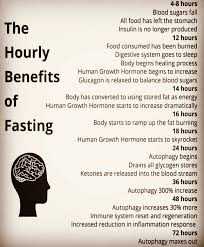 Fasting is nature's ultimate remedy- the doctor within. I practice intermittent fasting for 12-16 hours and commit to four extended fasts of 48+ hours yearly. The benefits are incredible: a complete gut reset, sharper cognitive performance, and powerful detoxification. Highly recommend giving it a try!