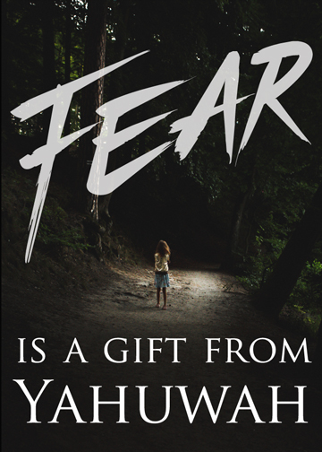 ''Fear is a gift'' Video Release