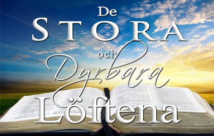De stora och dyrbara löftena