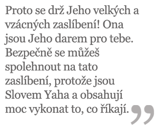 Velká a Vzácná Zaslíbení image