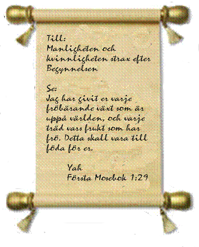 återhållsamhet