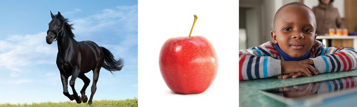 Die Hebreeuse Taal, Naamwoorde, perd, appel, kind
