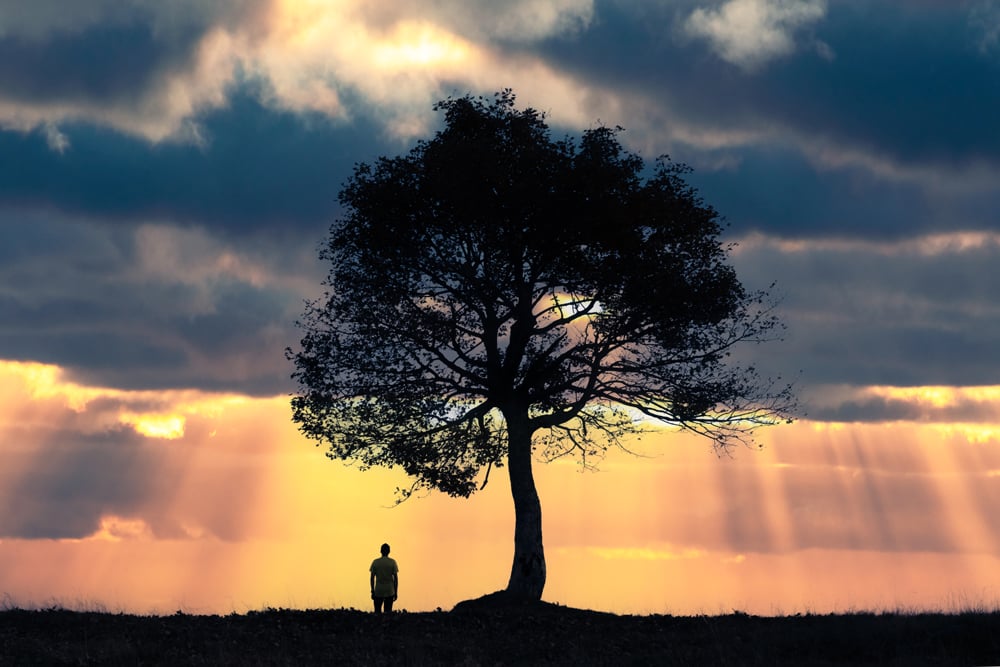 2 Batesalonika 1 Batabilila Kuti Kunyina Kulela Myaka iili Cuulu Anyika image