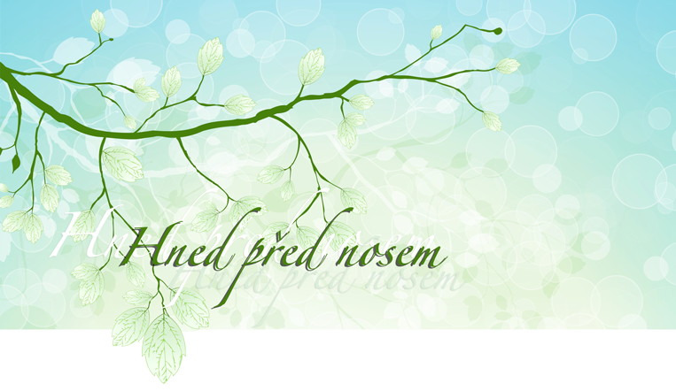 Hned před nosem