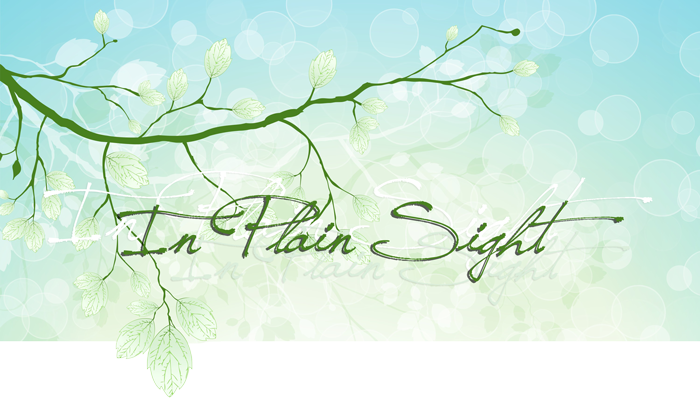 In Plain Sight