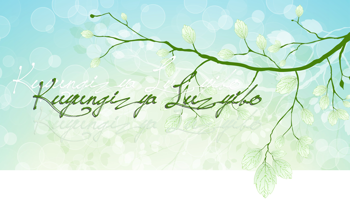 Ba Jesuiti Bacenjezu: Basisa Nyika Iipapalele aNsabata Iitobezya Mwezi! image