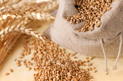grain
