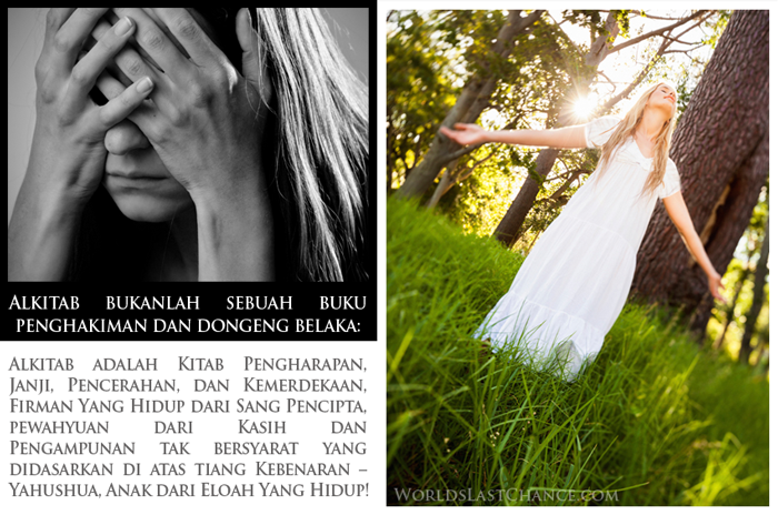 Alkitab Yang Hidup image