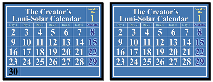 lunar-solar calendar