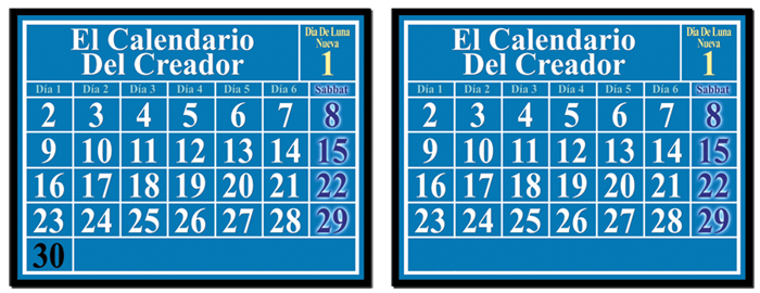 Las Lunas Nuevas y Días de Traslado image