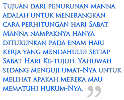 Bulan-bulan Baru & Manna | Sebuah Pola di Padang gurun image