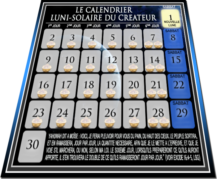Le but de la manne était d’indiquer clairement comment les jours de Sabbat devaient être calculés. La manne ne tombait probablement que les six jours de travail qui précédaient chaque Sabbat du septième jour. Yahuwah testait Son peuple pour voir s'il obéirait à Sa loi.