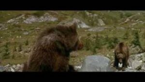 L'Ours (1988) - the cougar scene (Thumbnail)