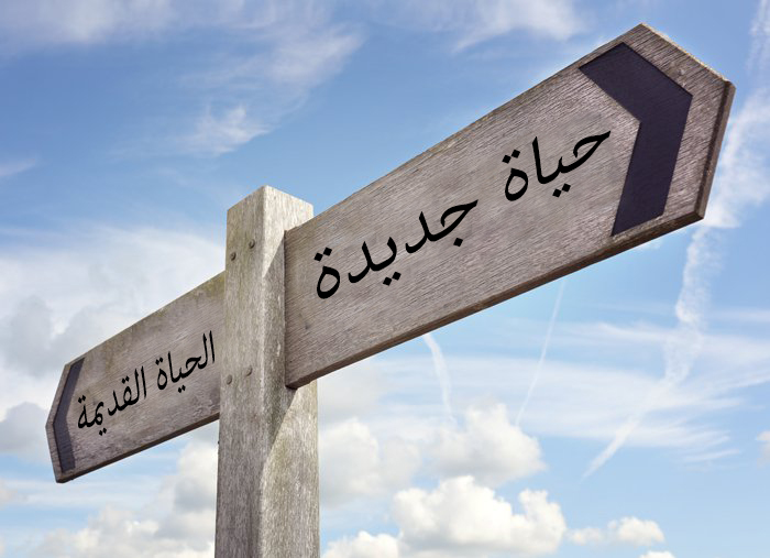 حياة جديدة