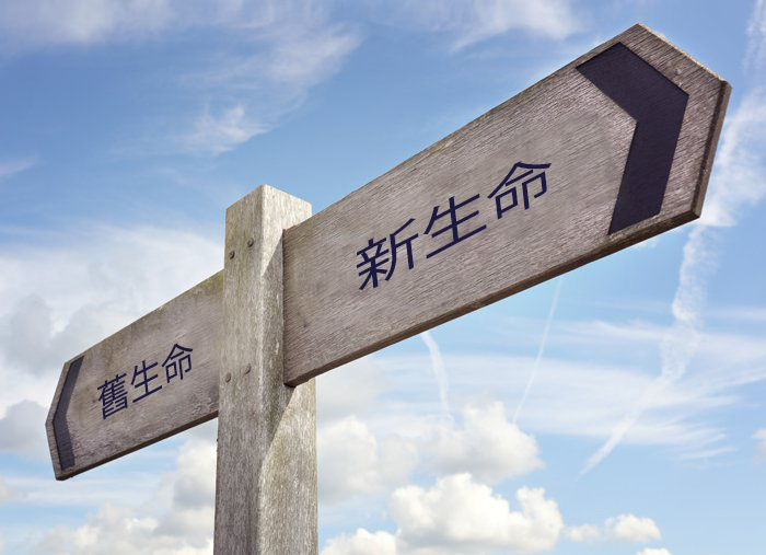 學習因信稱義的恩賜！ image