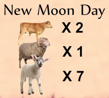 New Moon  Day Sacrifices