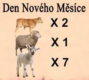Oběti pro den Novměsíce