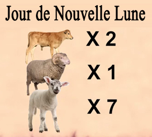 Sacrifices du jour de la Nouvelle Lune
