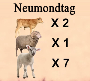 Opfer für Neumondtage