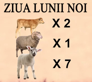 Sacrificiile Zilei de Lună Nouă