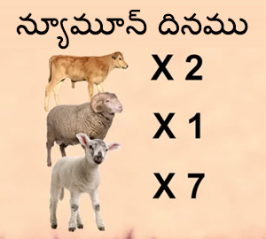 న్యూమూన్ దినపు బలులు