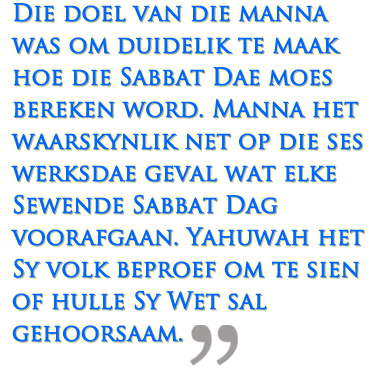 Nuwe Mane & Manna | Die Patroon in die Woestyn image