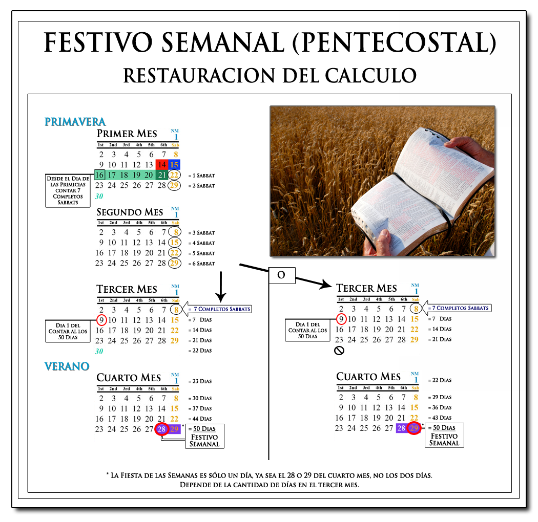Pentecostés Tabla de Cálculo