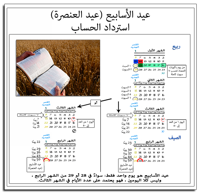 دفاعا عن السبت القمري | الجزء الثالث image