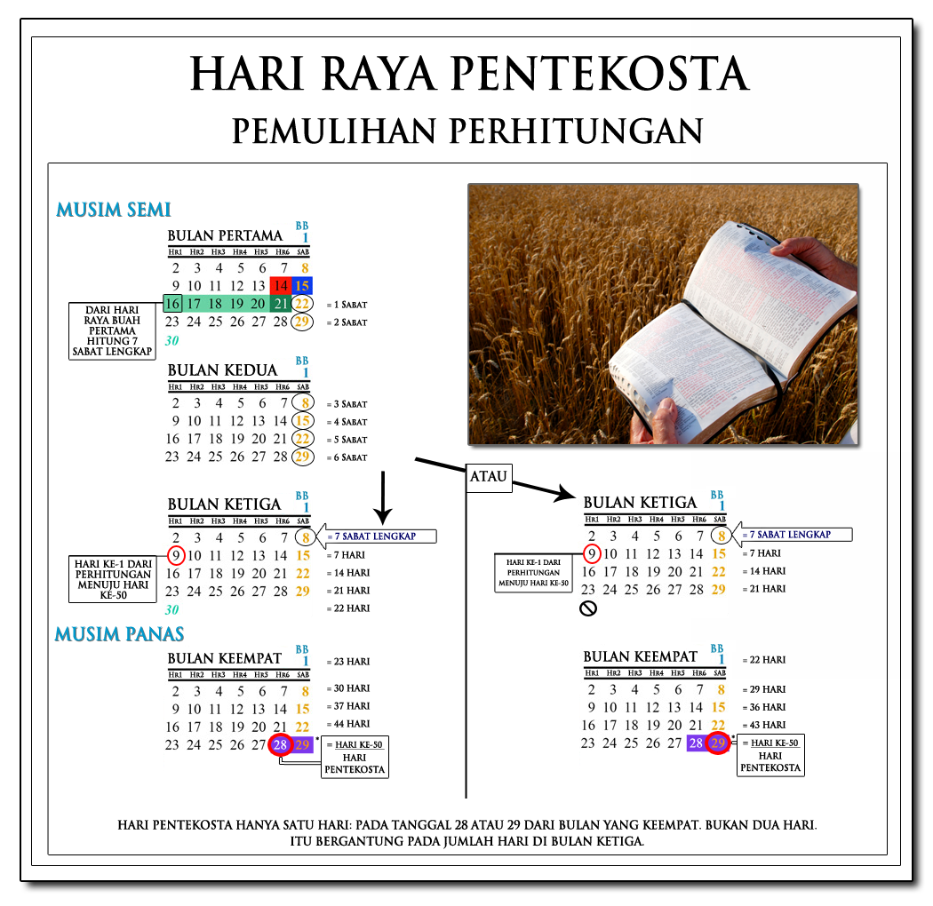 Grafik yang menunjukkan jumlah Pentakosta: 7 Lunar Sabat + 50 Hari, Menghitung dari gelombang Sheaf